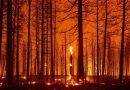 UN report terms climate change "unprecedented"