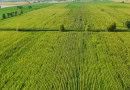 Pakistan China Sign Agreement On Ai Based Agricultural Equipment