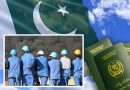 Pakistan Suspends Job Approvals For Uzbekistan What Does This Mean For Workers
