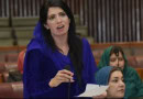 Aliya Hamza Appointed As Pti Punjab Chief Organizer