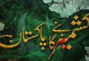 Action Demanded Against Indian Atrocities As Kashmir Solidarity Day Being Observed Today
