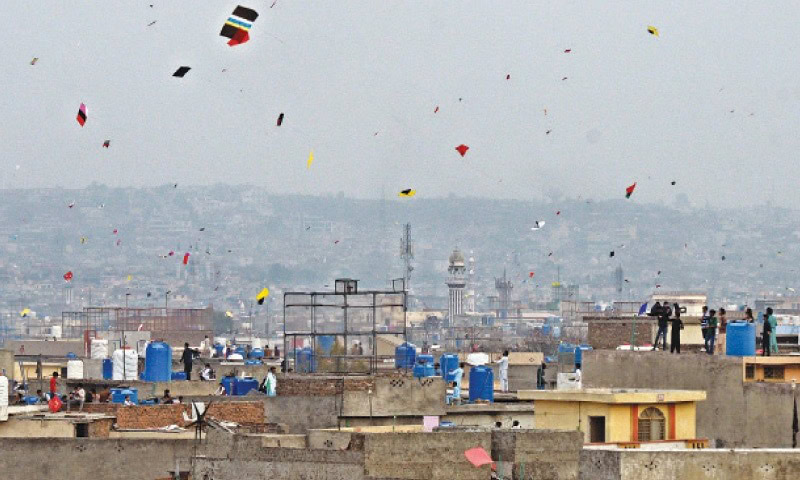 Basant Festival 2025 Date Announced By Kite Flying Association