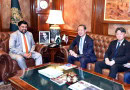 Governor Sindh Encourages Japanese Investment