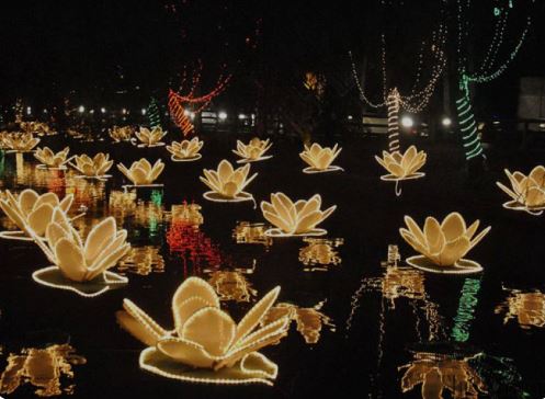 Jashn E Baharan Festival Scheduled To Take Place On February 25 27 In Islamabad