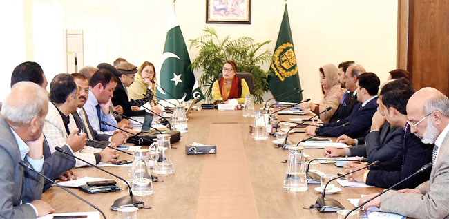 Margalla Enclave 50 Development Work To Be Completed By Aug 14naqvi