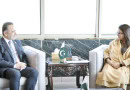 Pakistan Turkiye Discuss It 5g Ai Collaboration