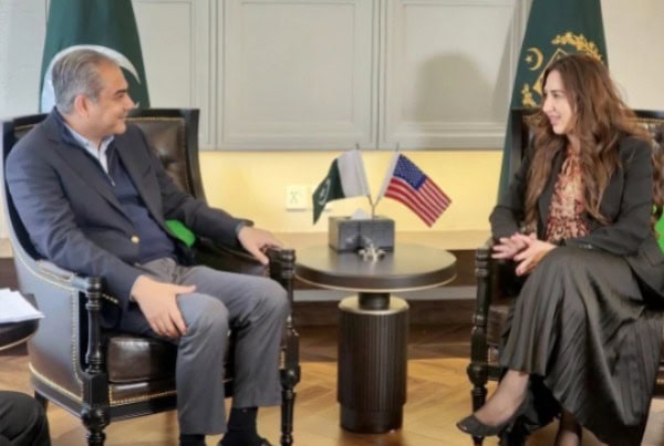 President Trumps Term To Give New Strength To Pak Us Relations Naqvi Hopes
