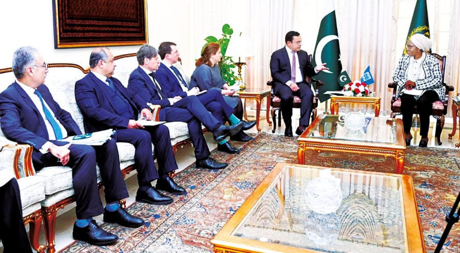 Privatizing Soes Especially Discos Key Priority Ahad