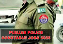 Punjab Police Jobs 2025 Around 6000 Constable Vacancies Announced For Enforcement Roles