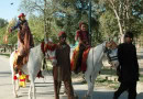 Punjab Wildlife Theatre Launched At Lahore Safari Zoo