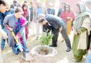 Romina Launches Tree Plantation Drive Inspires Youth For Climate Action
