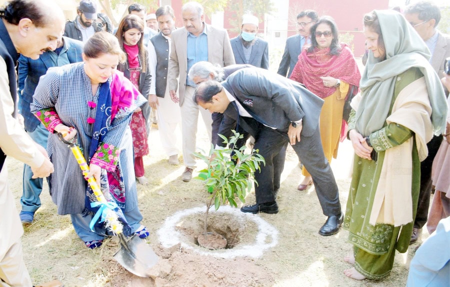 Romina Launches Tree Plantation Drive Inspires Youth For Climate Action