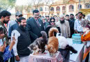 Uvas Arranges Pets Gala Panchi Mela