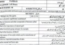 10th Class Chemistry Guess Paper Model Paper Punjab Boards Exams 2025