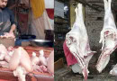 Chicken Meat Beef And Mutton Rates In Lahore For Ramazan 2025