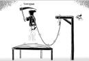 Daily Cartoon 13 03 2025