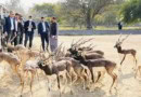 Eid Holidays Of Lahore Safari Zoo Lahore Zoo Parks Employees Cancelled