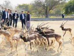 Eid Holidays Of Lahore Safari Zoo Lahore Zoo Parks Employees Cancelled
