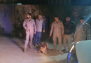 How Punjab Wildlife Dept Conducted Operation In Lahores Iqbal Town For Lion