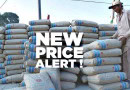 Latest Cement Rates In Pakistan Amid Slow Sales In March 2025