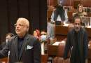 Senator Buppi Presented In Senate Ejaz Chaudhrys Absence Referred To Privilege Committee