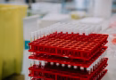 Unlocking The Potential Of N Acetyl Selank Peptide In Cognitive And Neurobiological Research