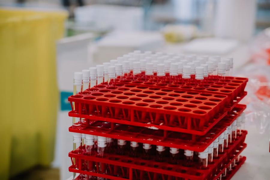 Unlocking The Potential Of N Acetyl Selank Peptide In Cognitive And Neurobiological Research