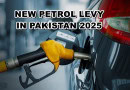 What Are New Levy Rates For Petrol Diesel And Other Fuel Products In Pakistan