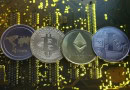 Who Are Chairman And Ceo Of New Pakistan Crypto Council