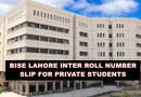 Bise Lahore Roll Number Slips 2025 For Intermediate Student