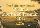 Cm Punjab Wildlife Internship 2025 Eligibility Stipend Application Process