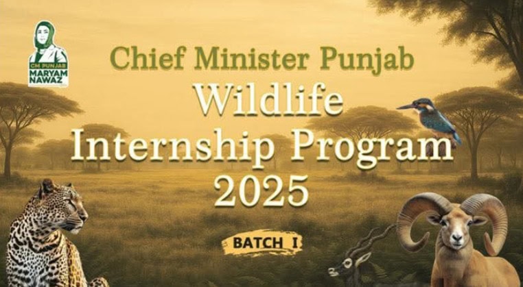 Cm Punjab Wildlife Internship 2025 Eligibility Stipend Application Process