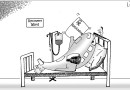 Daily Cartoon 14 04 2025