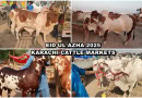 Karachi Maweshi Mandi Locations Unveiled For Eidul Azha 2025 Full List Here