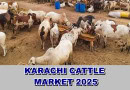 Karachis Eid Ul Azha 2025 Cattle Market Locations And Dates Revealed Full Details Here