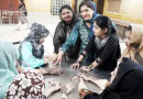 Lahore Gears Up For Punjabi Culture Day