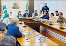 Marriyum Reviews Progress On Pindis Uplift Projects