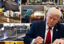Pakistan Sets Sights On New Export Opportunities After Surge In Us Tariff