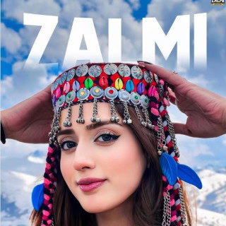 Psl 10 Peshawar Zalmi Appoints Tiktoker Jannat Mirza As Official Social Media Ambassador