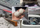 Solar Plates Cars Damaged As Hailstorm Batters Islamabad