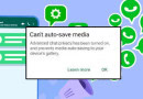 Whatsapps New Update Will Allow Senders To Restrict Recipients From Automatically Saving Pics Files
