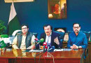 Govt Wants Experts To Play Role In Every Sectors Development Haroon