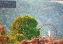 India Admits Defeat By Raising White Flag After Pakistans Powerful Response Says Tarar