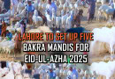 Lahores Eid Ul Azha 2025 Cattle Market Locations Finalized Full Details Here
