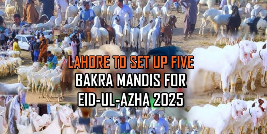 Lahores Eid Ul Azha 2025 Cattle Market Locations Finalized Full Details Here