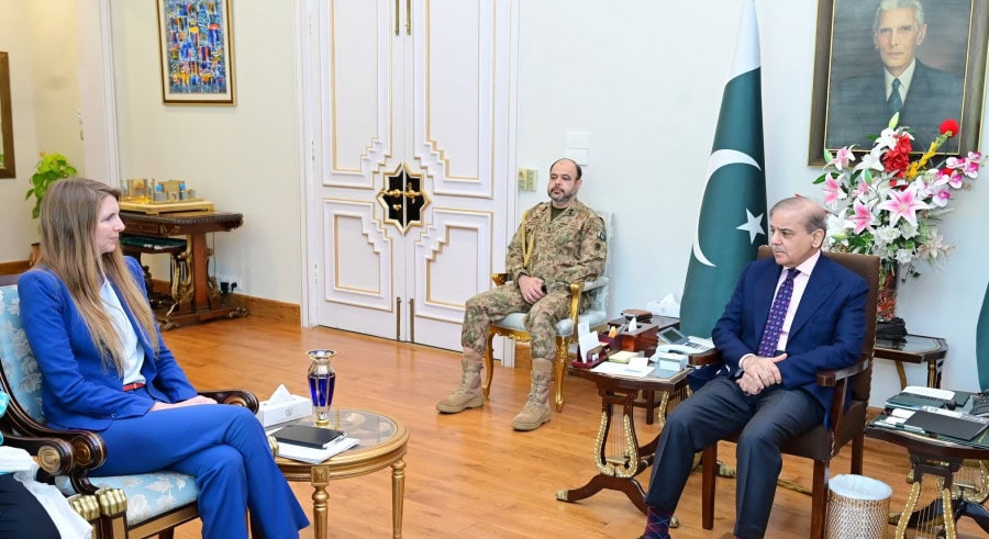 Pm Shehbaz Seeks Uk Support Amid Pak India Tensions Calls For Neutral Pahalgam Probe