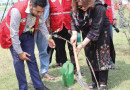 Prcs Promotes Green Action With Plantation And Cleanliness Drive In Islamabad