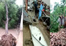 Punjab Storms Leave Eight Dead Nearly Four Dozens Injured