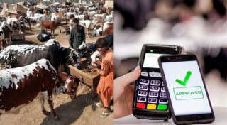 Sbp Promotes Digital Payments In Cattle Markets