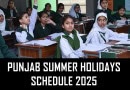 Summer Vacations 2025 In Punjab Schedule